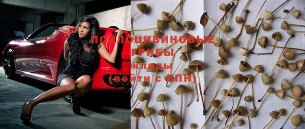 прущий лед Кинешма