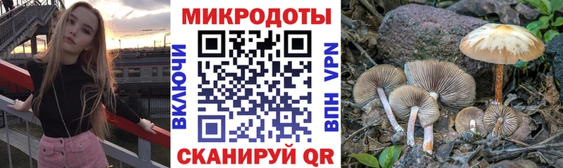 Купить закладки  Спасск-Дальний  Галлюциногенные грибы Psilocybe 